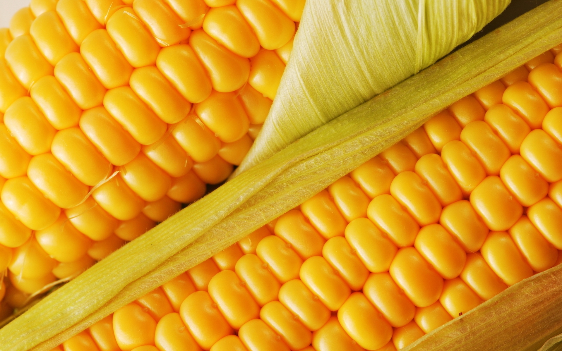 Картинки Кукуруза, вкусная, cob фото и обои на рабочий стол