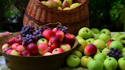 Виноград, яблоки, корзина, многие