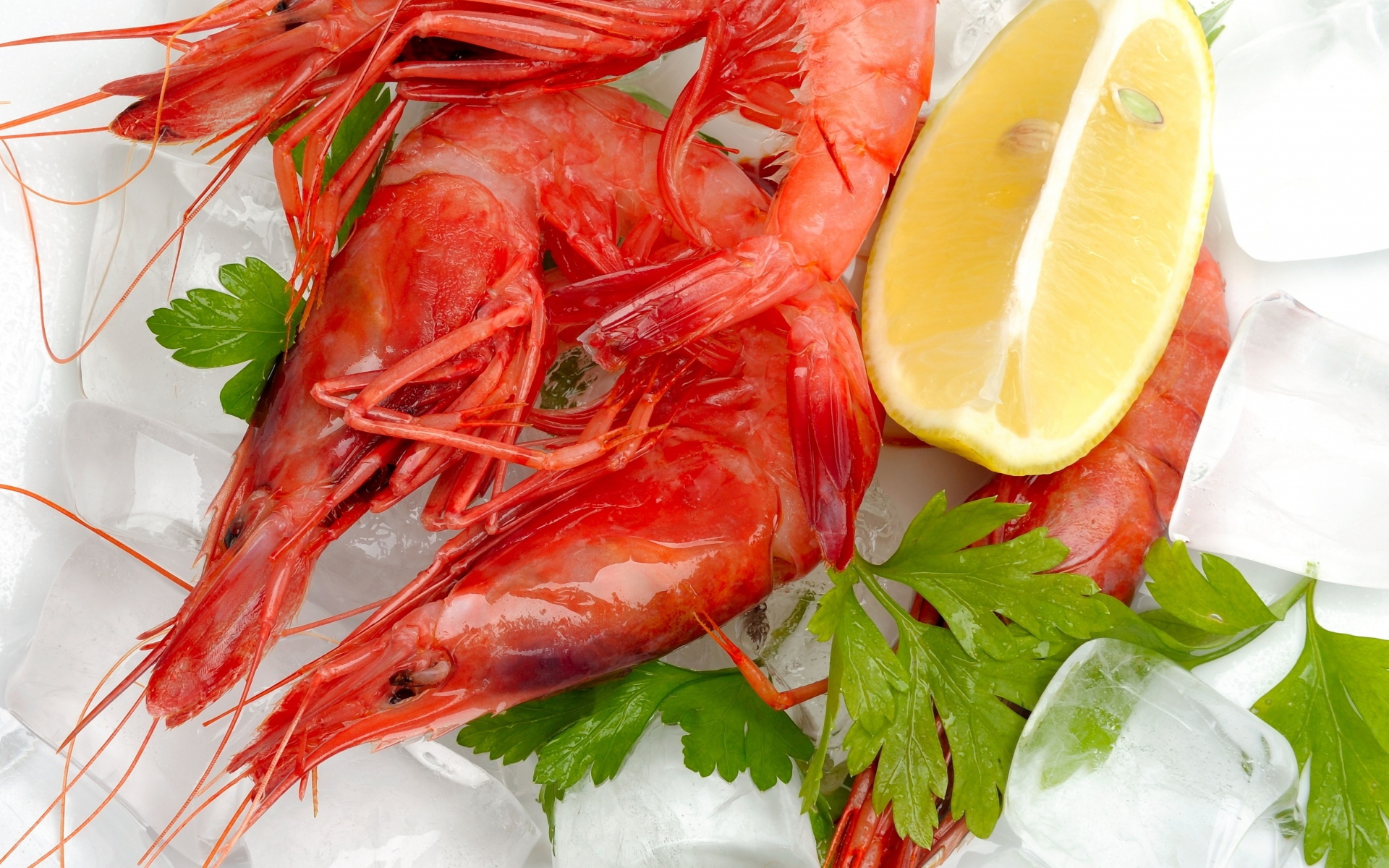Картинки Креветки, лимон, готовые, вкусные фото и обои на рабочий стол