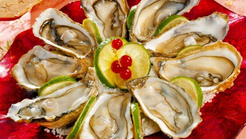 Раковины, известь, еда, ужин, вкусные