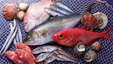 Рыба, морепродукты,