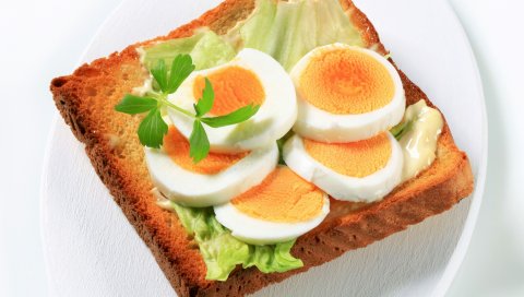 Смородины, ветви, листья, травы