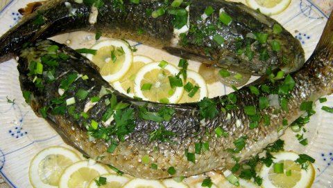 Рыба, мясо, зелень, лимон