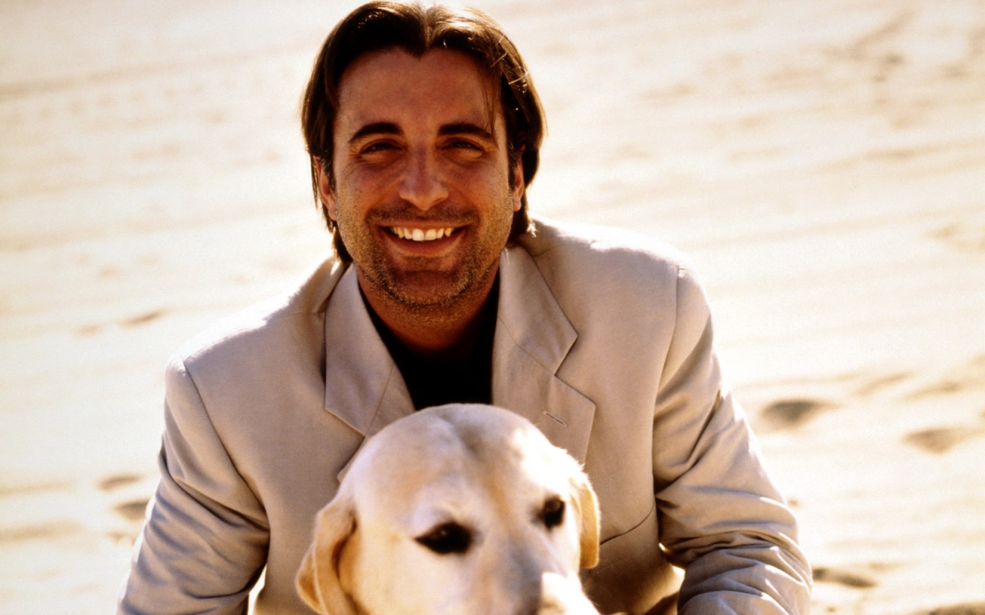 Картинки Andy garcia, коричневый, собака, улыбка, волосы, прогулки фото и обои на рабочий стол