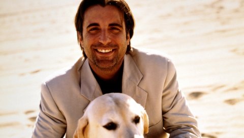 Andy garcia, коричневый, собака, улыбка, волосы, прогулки