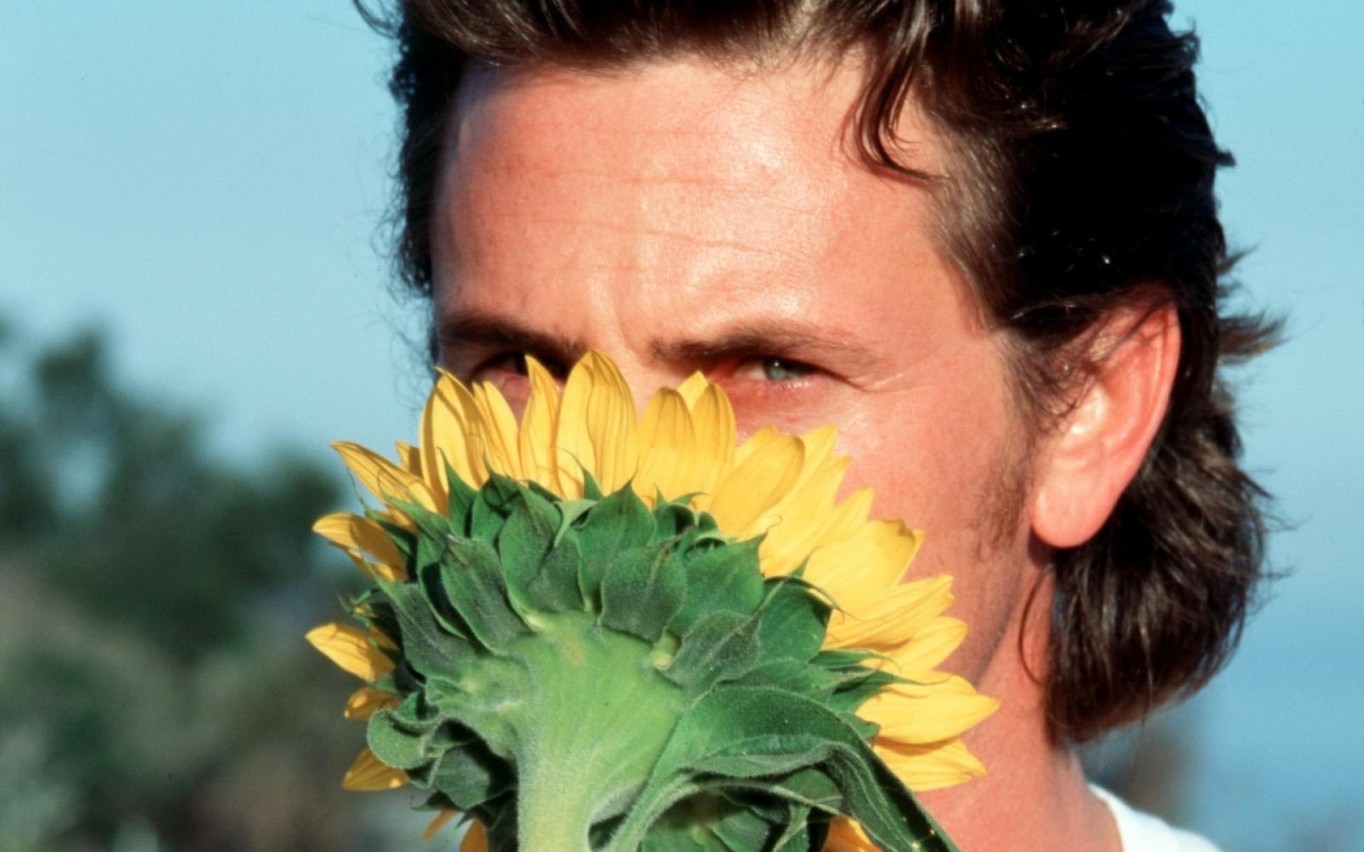 Картинки Sean penn, коричневый, подсолнечник, лицо, рубашка, свет фото и обои на рабочий стол