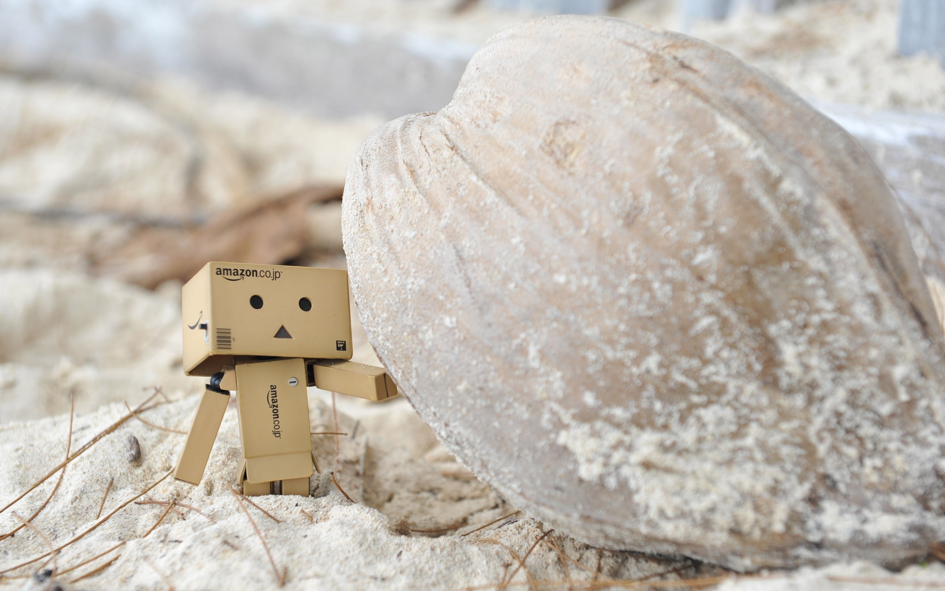 Картинки Danboard, картонный робот, песок, камень фото и обои на рабочий стол