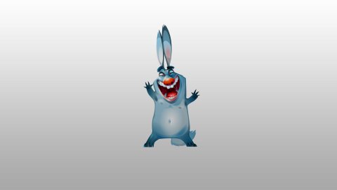 Кролик, смешной, фотография