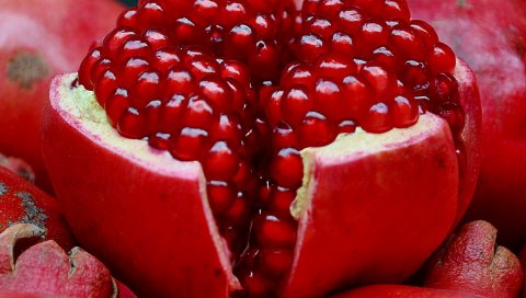 Гранат, фрукты, ломтик