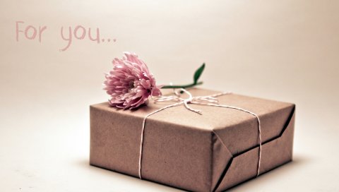 Подарок, коробка, цветок
