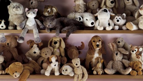 Игрушки, собака, кошка, полка