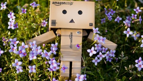 Danboard, картонный робот, цветы, трава