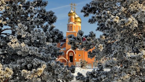 Темиртау, храм, деревья, зима