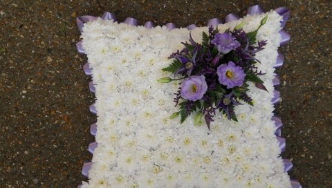 рассел Lisianthus, хризантема, цвет, форма, подушки