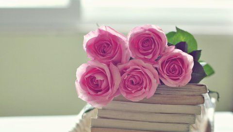 Розы, цветы, букет, книги
