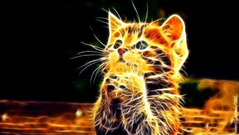 Котенок, пушистый, лапы, симпатичный, абстрактный