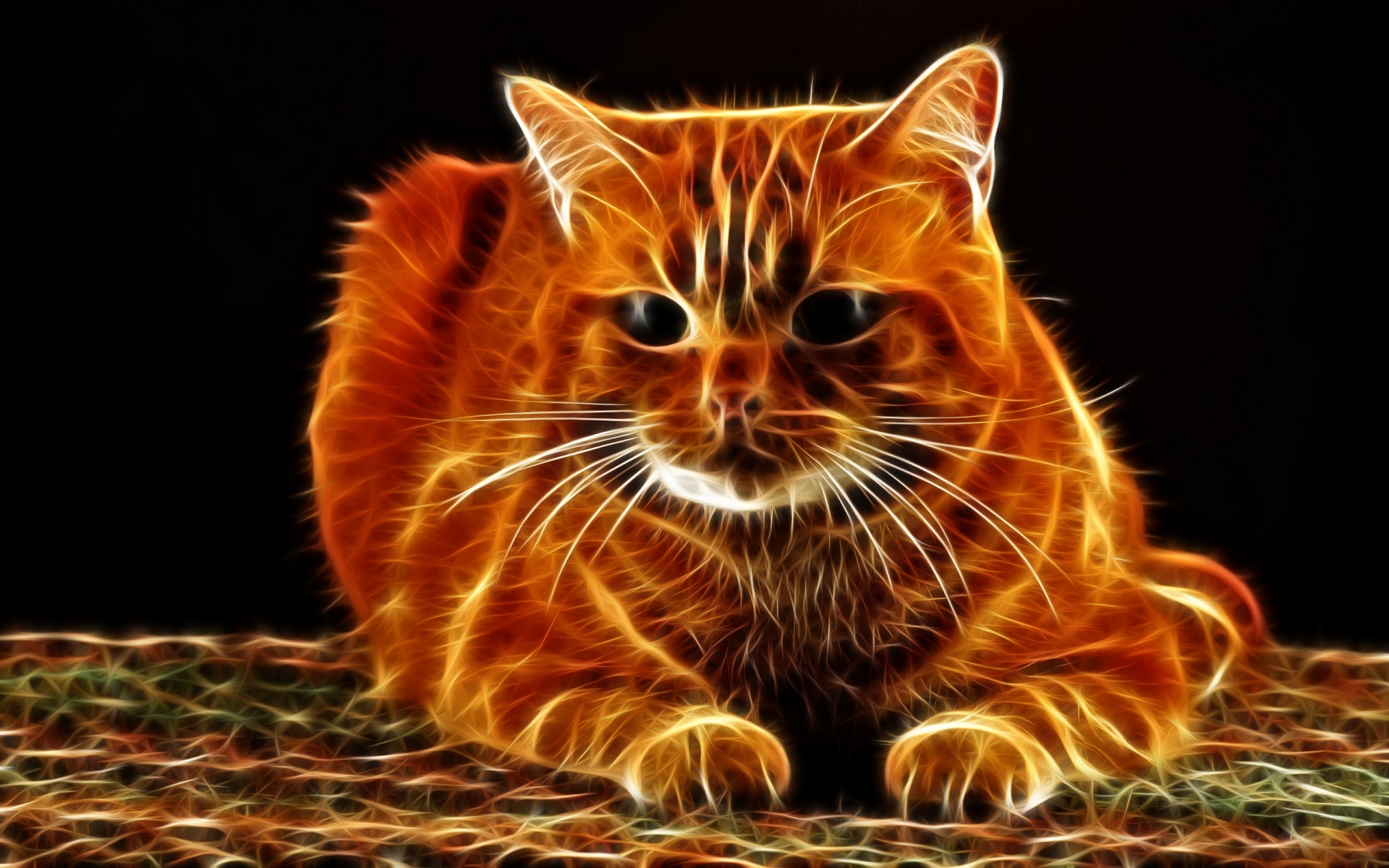 Картинки Кошка, волосы, лицо, толстая, абстракция фото и обои на рабочий стол