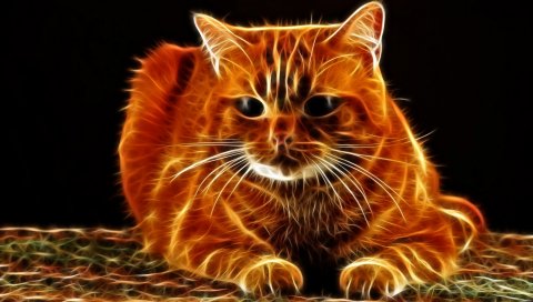 Кошка, волосы, лицо, толстая, абстракция