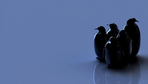 Птиц, пингвинов,