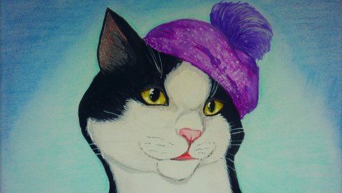 Кошка, рисунок, шляпа, фотография