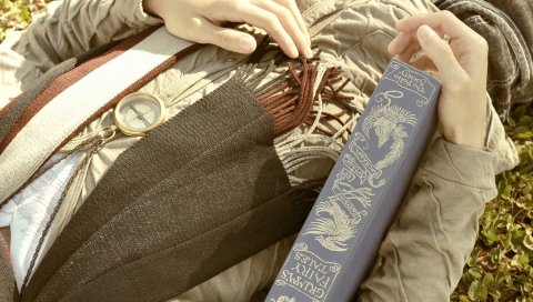 Человек, книга, ложь, листья