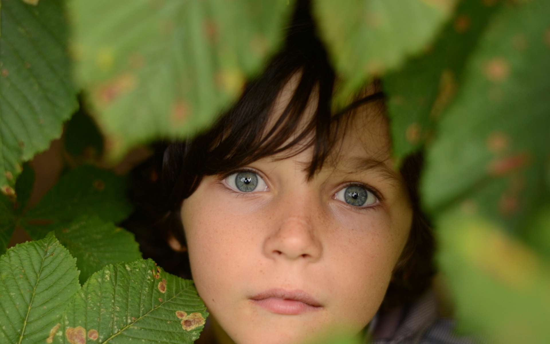 Blue eyed boy