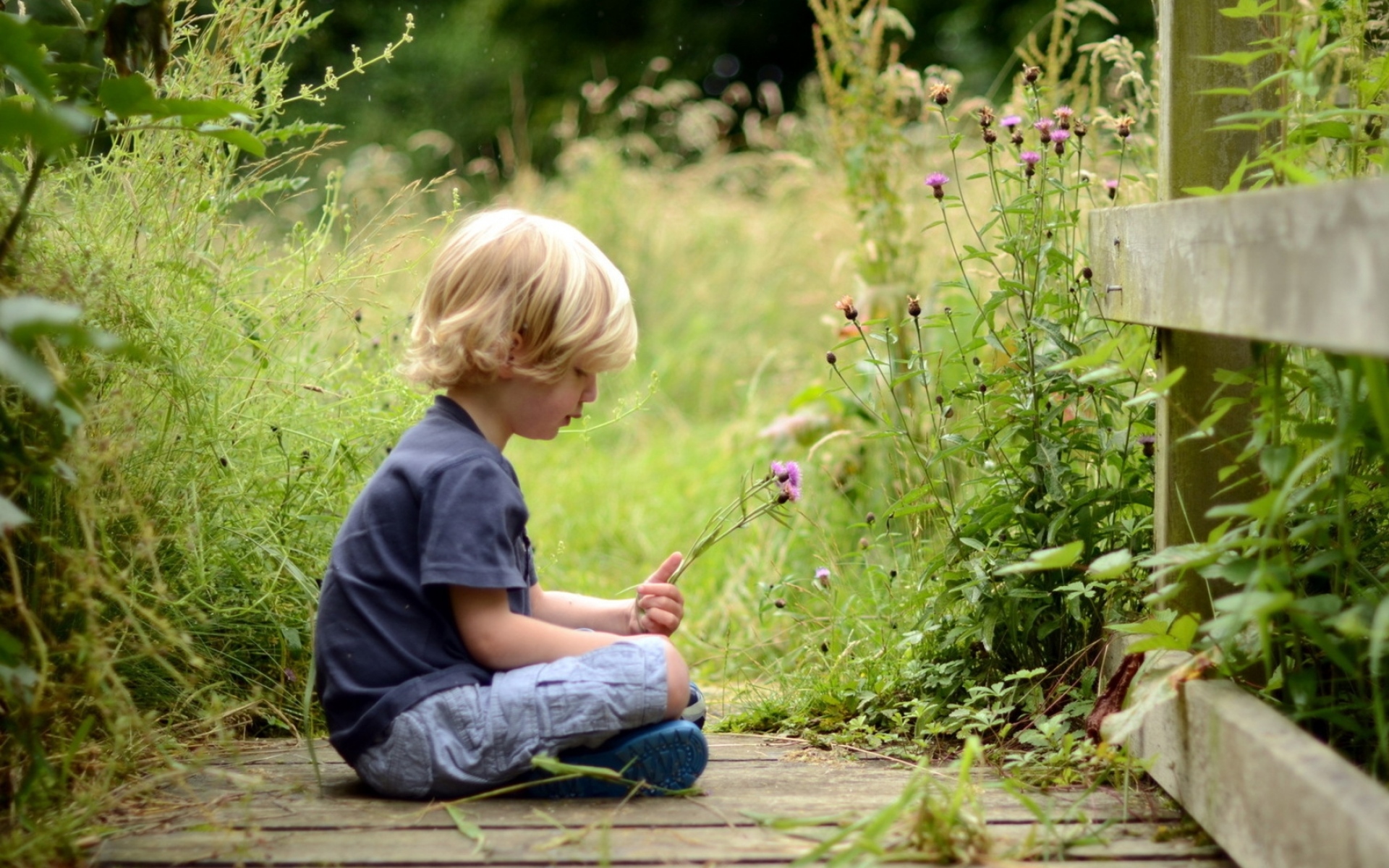Сидит перед цветами. Мальчик на природе. Дети и природа. Мальчик сидит на траве. Мальчик на лужайке.