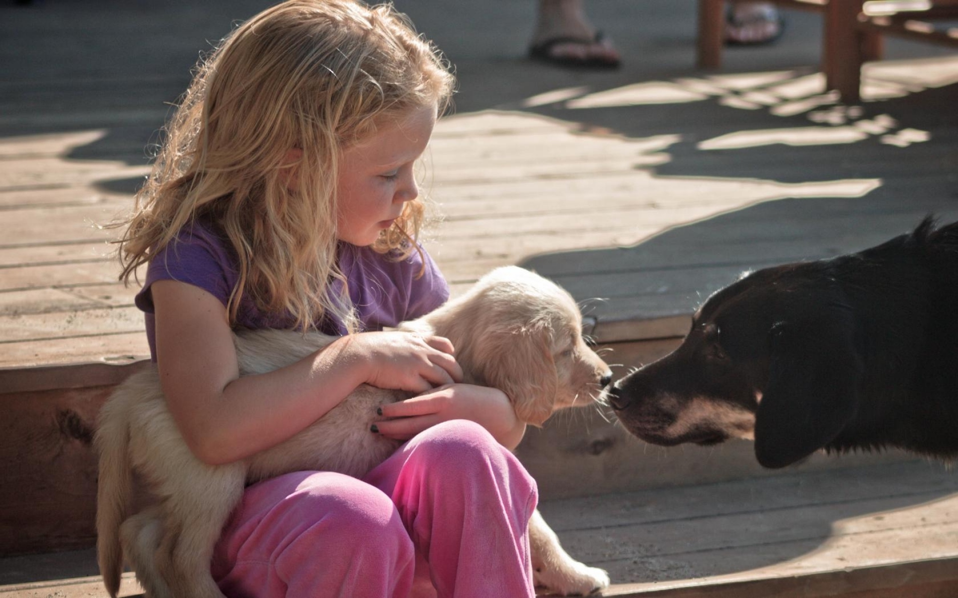 Девочка живет с собаками. Собака для детей. Deti s sobakoi. Ребенок играет с собакой. Собака играет.