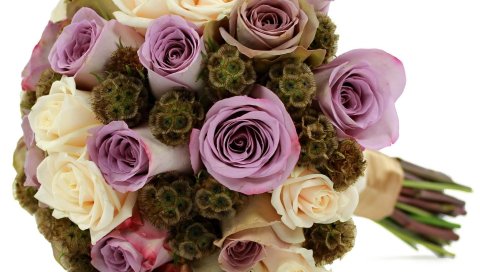 Роза, scabiosa звездный, букет, декор