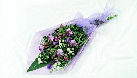 Гвоздики, ромашки, цветок, украшение