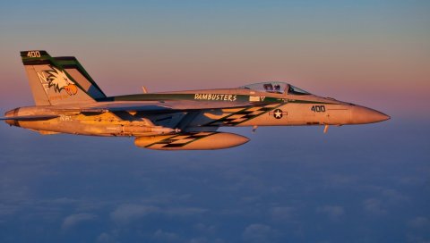 F-14 tomcat, самолет, небо, полет