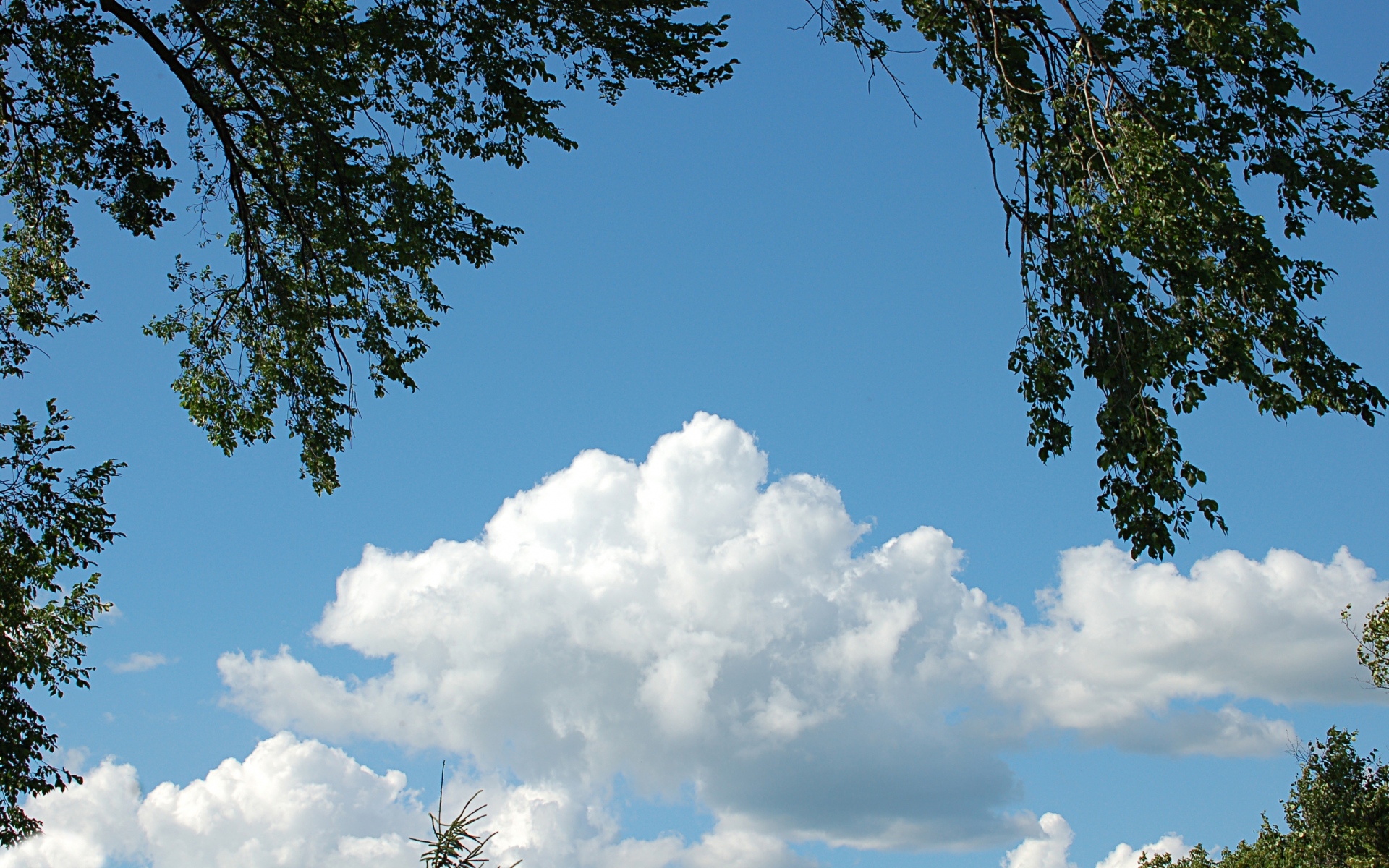Картинки Небо, облачно, дерево, пейзаж фото и обои на рабочий стол