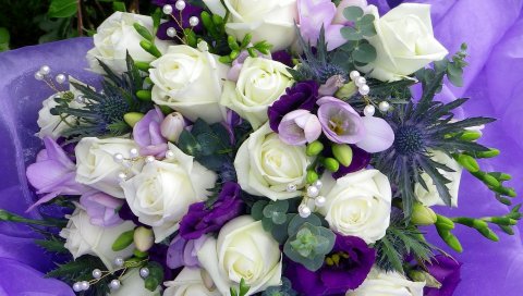 рассел Lisianthus, розы, фрезии , украшения, цветы, фиолетовый, декор