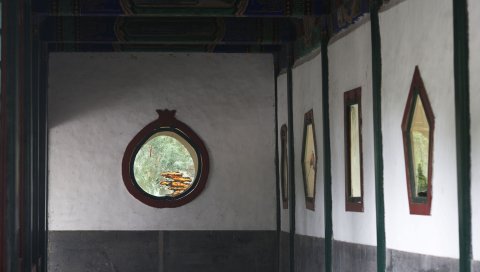 комнаты, картины, стены
