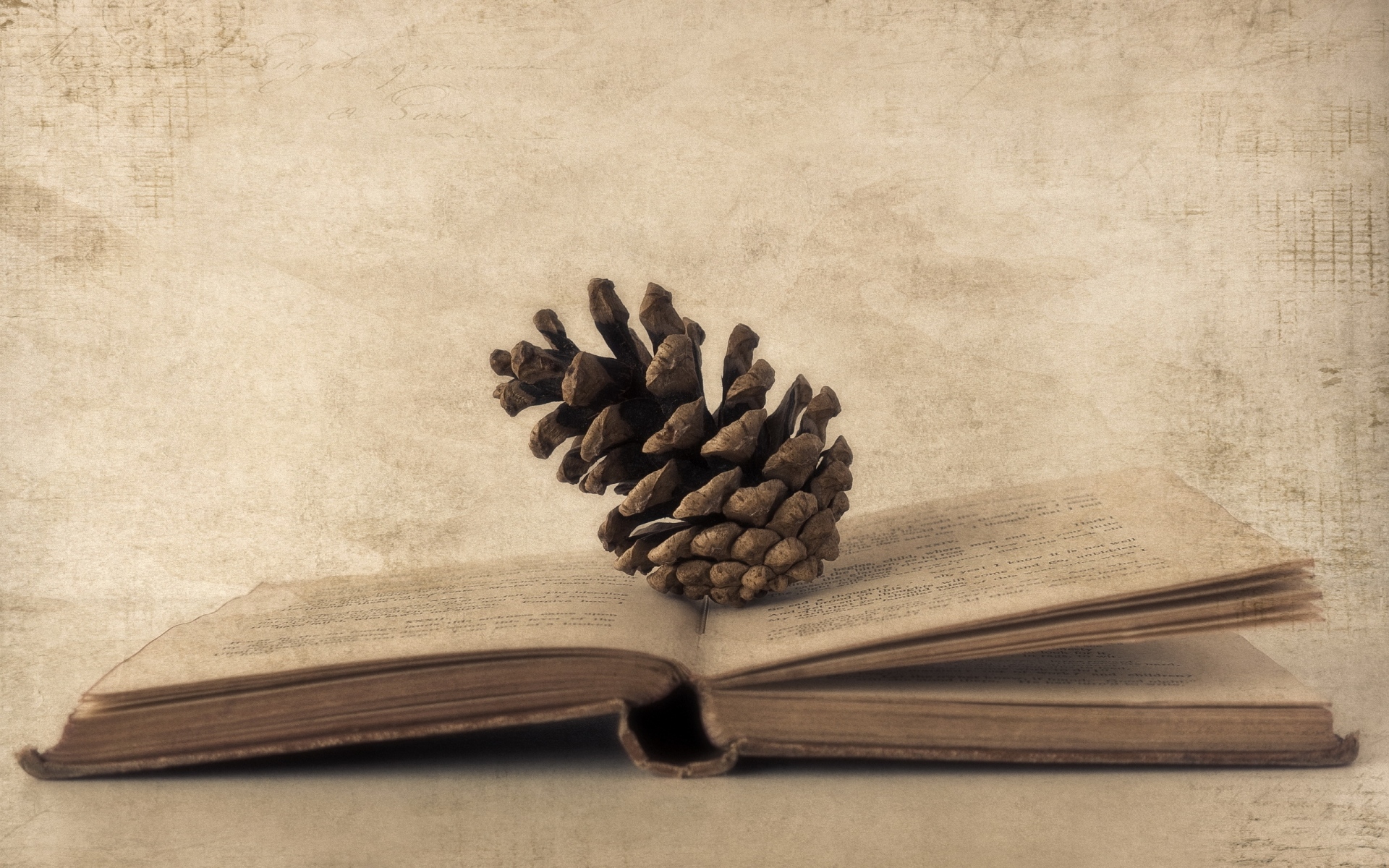 Картинки Книга, конусы, бумага, старые фотографии фото и обои на рабочий стол