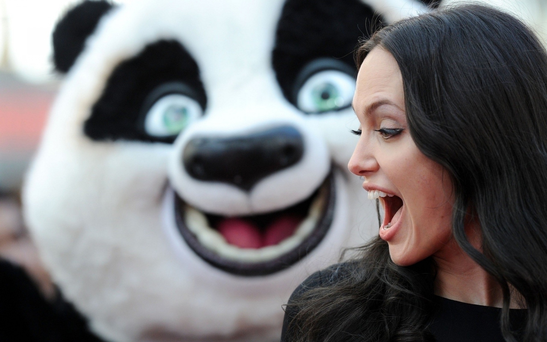 Картинки Angelina jolie, брюнетка, эмоция, ветер, волосы, панда фото и обои на рабочий стол