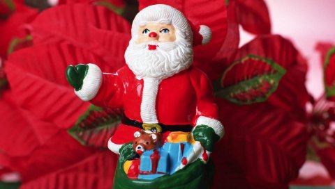 Санта-Клаус, рождество, игрушка, мешок, цветы
