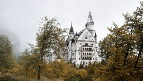 Замок, деревья, небо, туман