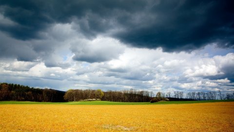 облако, поле, небо, серый, мрачный, шторм, лето, август, трава скошена, желтый