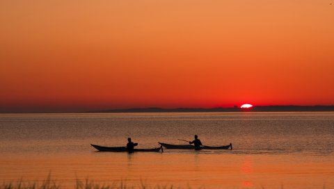 поля, плантации, холмы, культуры, урожай, зеленые, квадраты, сверху