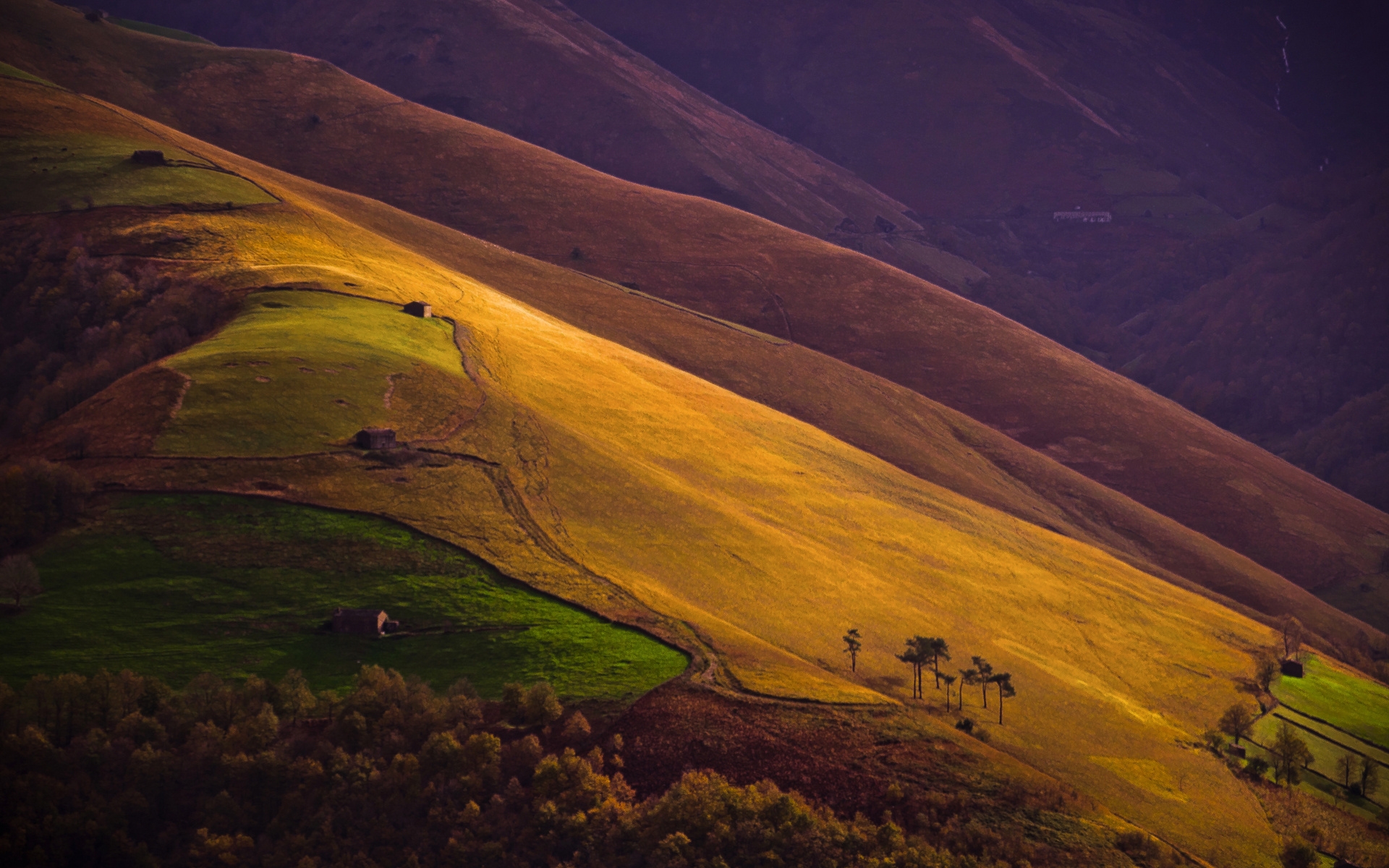Картинки склонов горы, поля, деревья, осень, из выше, посмотрите, пейзаж фото и обои на рабочий стол