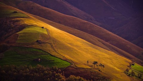 склонов горы, поля, деревья, осень, из выше, посмотрите, пейзаж