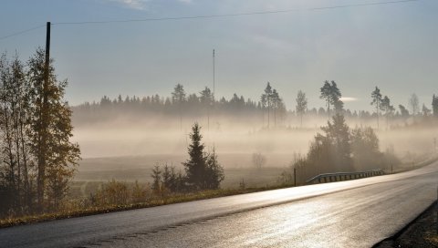 дорога, асфальт, туман, утро, свежесть , блеск, дерева, провод