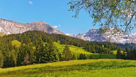 Дорога, асфальт, линия, дерево, небо, облака, солнце, свет, тень
