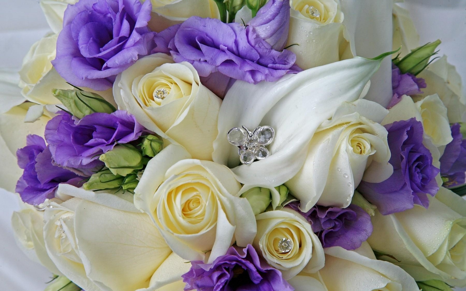 Белые розы фиолетовый. Красивый букет цветов. Роскошные цветы. Шикарный букет цветов. Шикарные цветы.