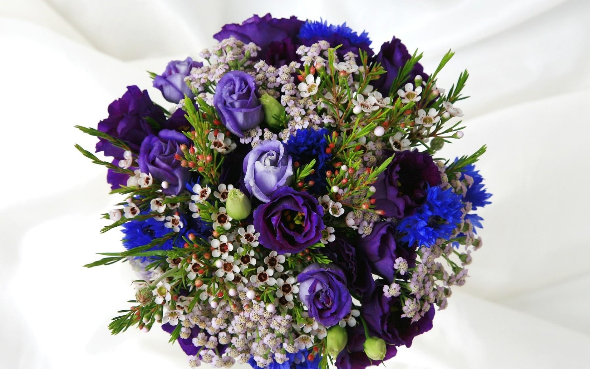 Картинки Васильки, lisianthus russell, чайное дерево, букет фото и обои на рабочий стол