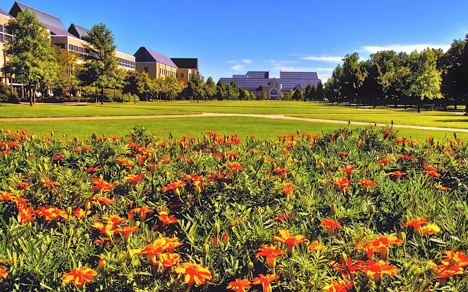 Картинки Здания, цветы, трава, лето фото и обои на рабочий стол