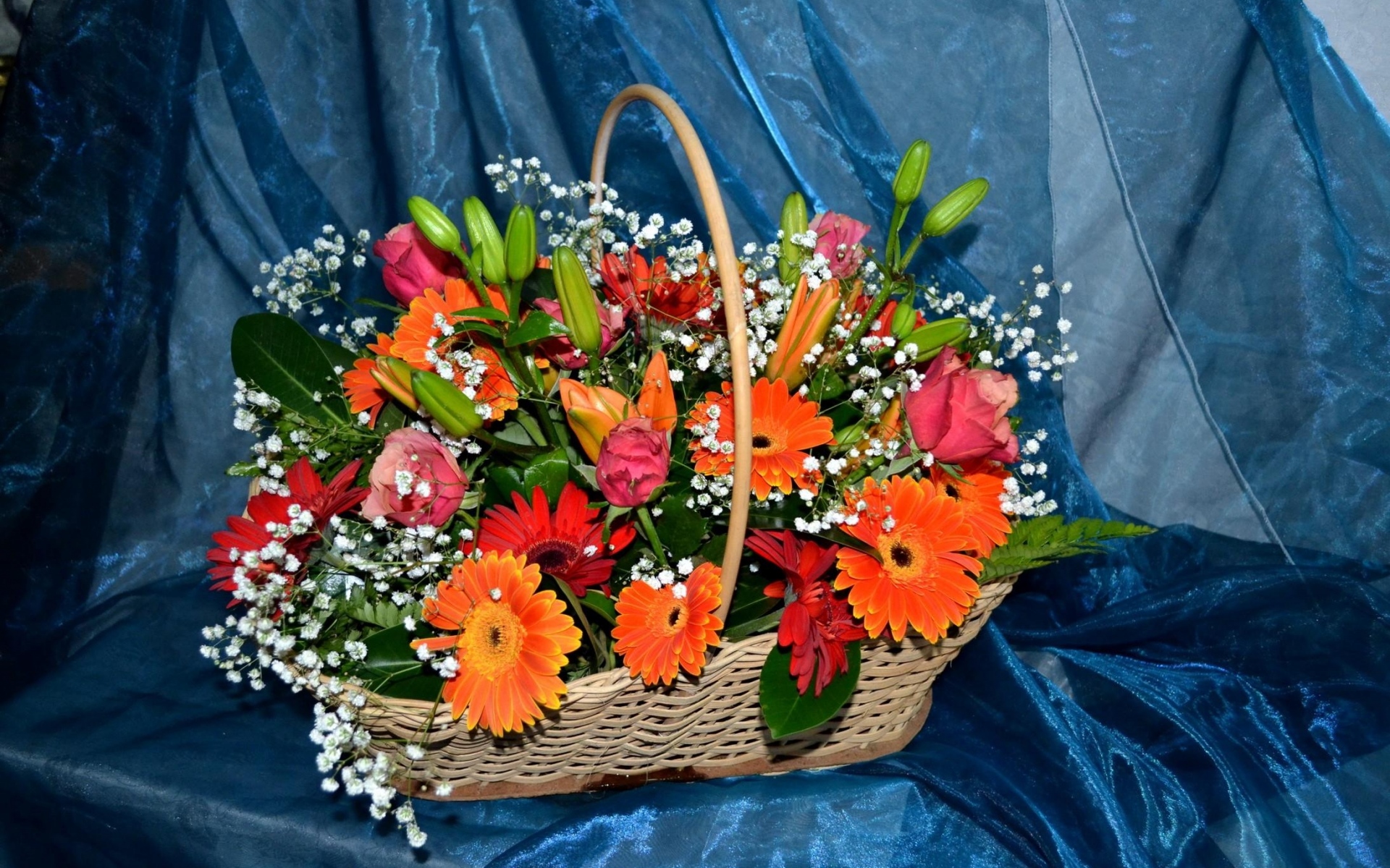 Картинки Гербер, роз, лилий, гипсофила, корзины, композиции, ткани фото и обои на рабочий стол
