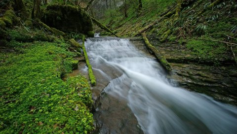 Река, лес, ручей, каскады, деревья, лето, вода гладкая поверхность, поверхность, зеркало, отражение