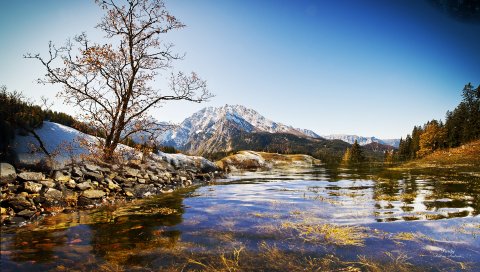 Дерево, камни, озеро, весна, вода, прозрачный, кусты, растительность, снизу, небо, свежесть, синий, вершины